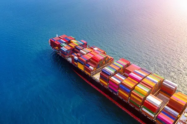 Le diagnostic export