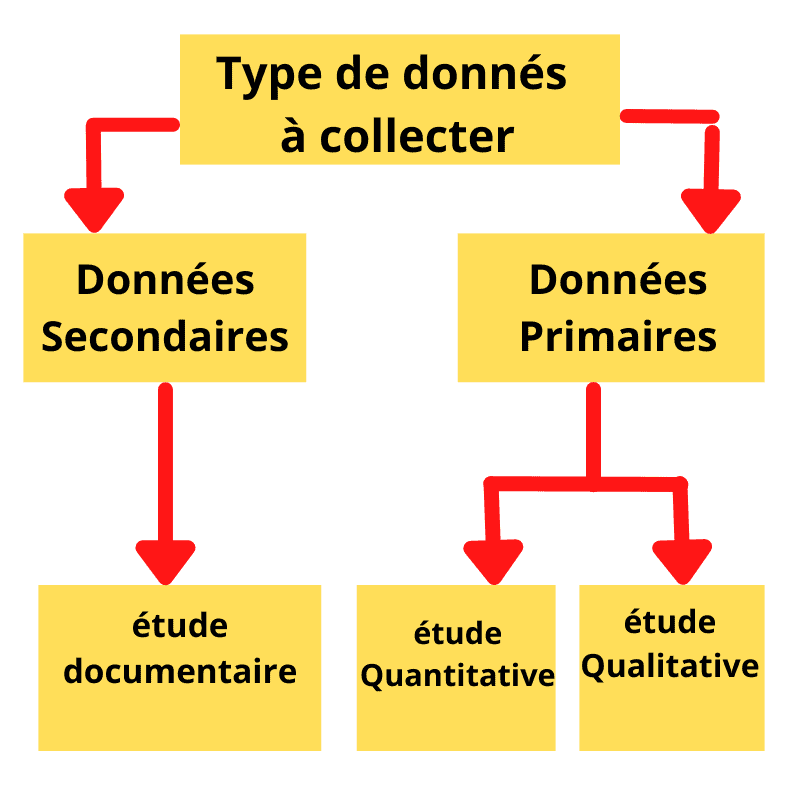 types de l'étude de marché