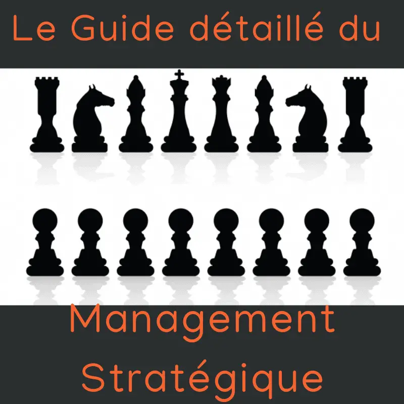 management stratégique des entreprises