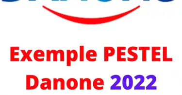analyse pestel danone 2022