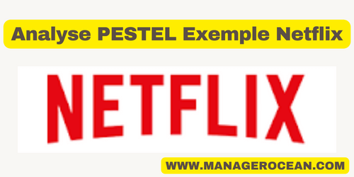 Analyse PESTEL Netflix 2023-Diagnostic externe du marché du streaming-
