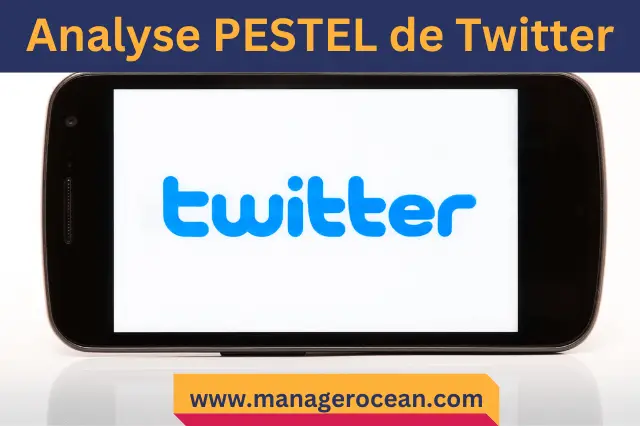 analyse pestel de Twitter 2022