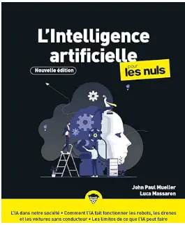 L'intelligence artificielle pour les Nuls, Nouvelle édition: Découvrir les bases de l'intelligence artificielle, Appréhender les enjeux de cette révolution technologique, connaître les limites de l'IA