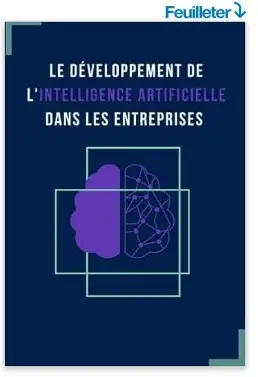 livre Le développement de l'intelligence artificielle dans les entreprises Explorer les fondements de l'IA, les enjeux et défis pour les entreprises de Matthieu Deloire 