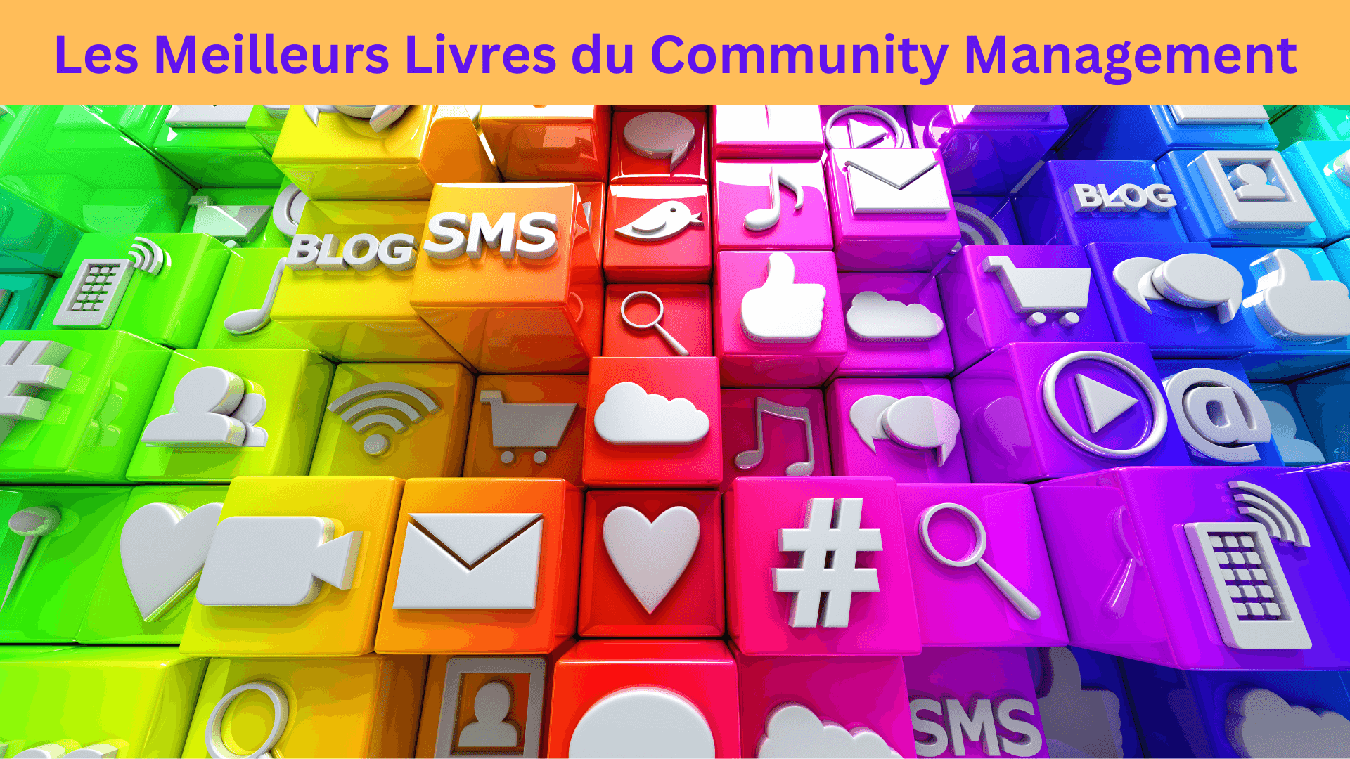 Les meilleurs livres du community manager en 2024